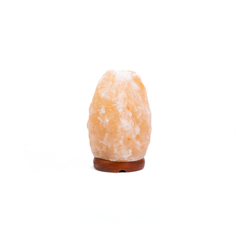 Natural Shape Himalayan Salt Lamp