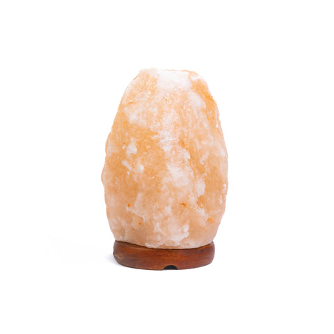 Natural Shape Himalayan Salt Lamp