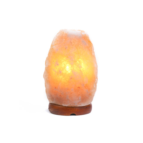 Natural Shape Himalayan Salt Lamp