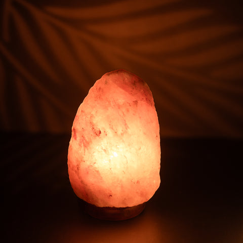 Natural Shape Himalayan Salt Lamp