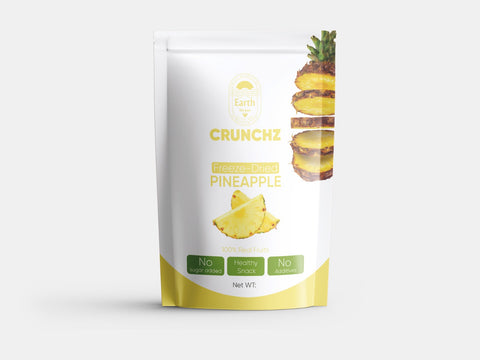 A stand-up pouch of Earth Recipes Crunchz freeze-dried pineapple in a white and yellow design with pineapple slice illustrations. Labels highlight 'No Sugar Added,' 'Healthy Snack,' and 'No Additives.'